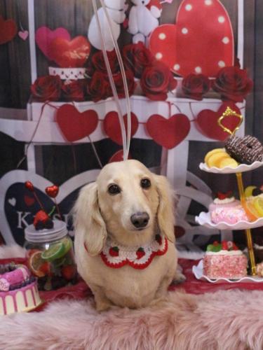 20250215シオンくん 